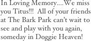 In Loving Memory....We miss you Titus!!!  All of your friends at The Bark Park can’t wait to see and play with you again, someday in Doggie Heaven!