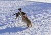 Mia and Buddy having fun in the snow.