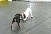 Rooney and Hailey meeting for the first time.