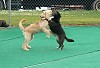 Beasley and Cooper doing a dance.